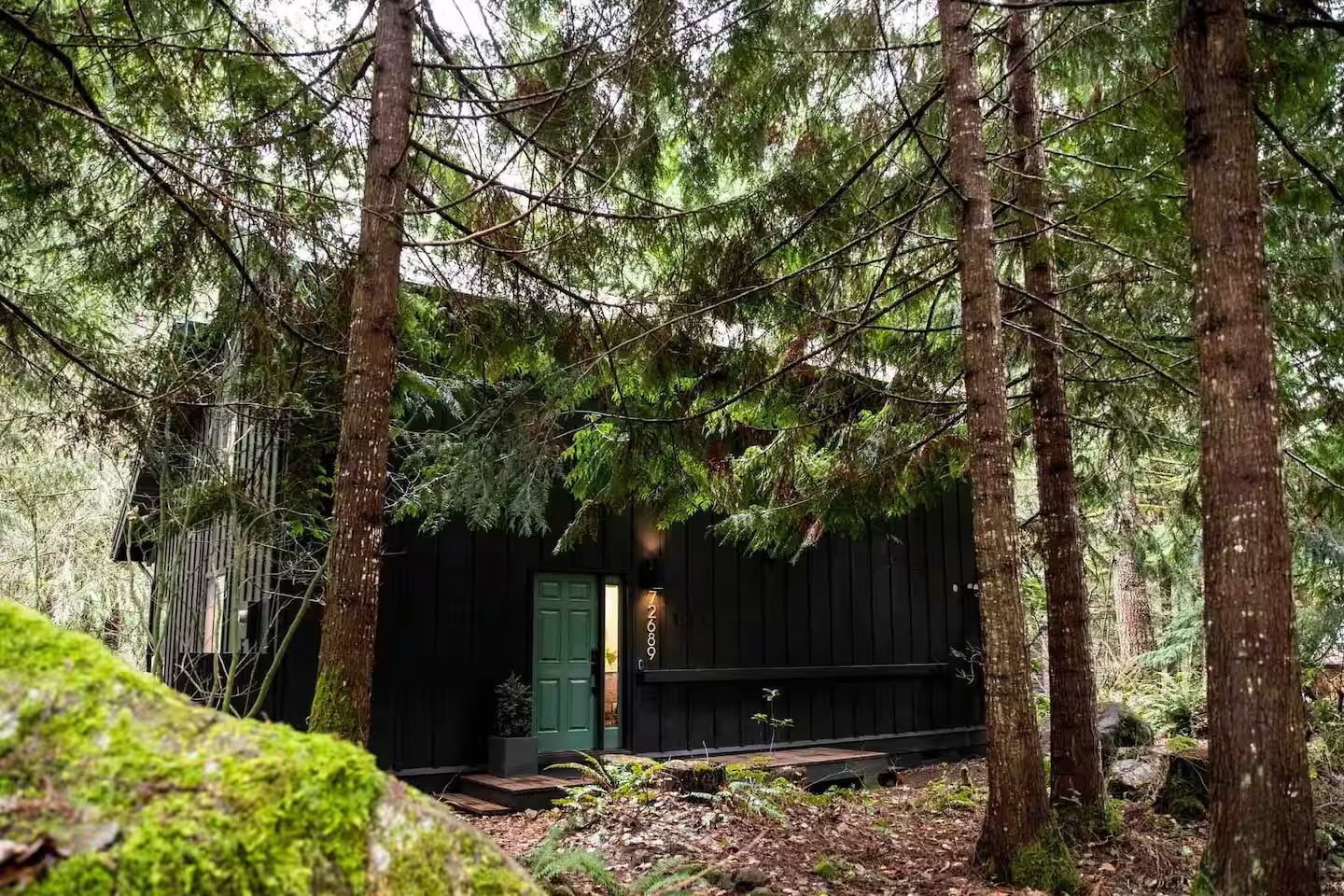 Front of Hood Hideaway among tall firs and mossy rocks